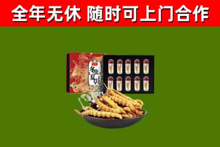 官渡区回收冬虫夏草价格