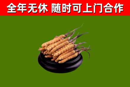 官渡区烟酒回收冬虫夏草.jpg
